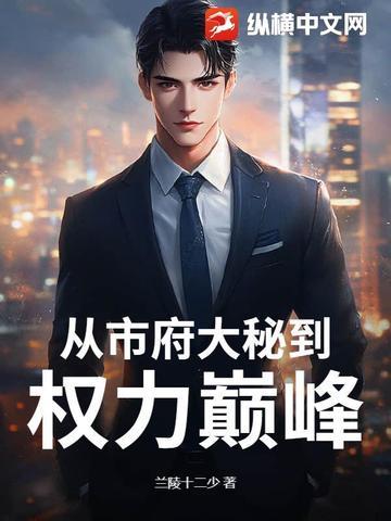 从市府大秘到权力巅峰