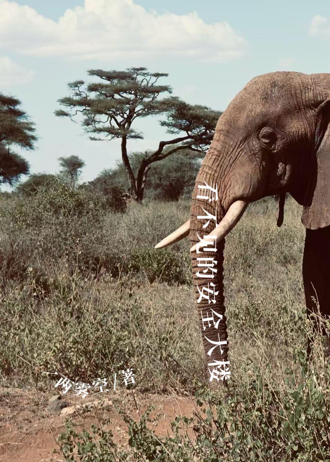 看不见的安全大楼