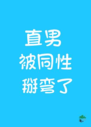 直男但被同性当成捞子掰弯了