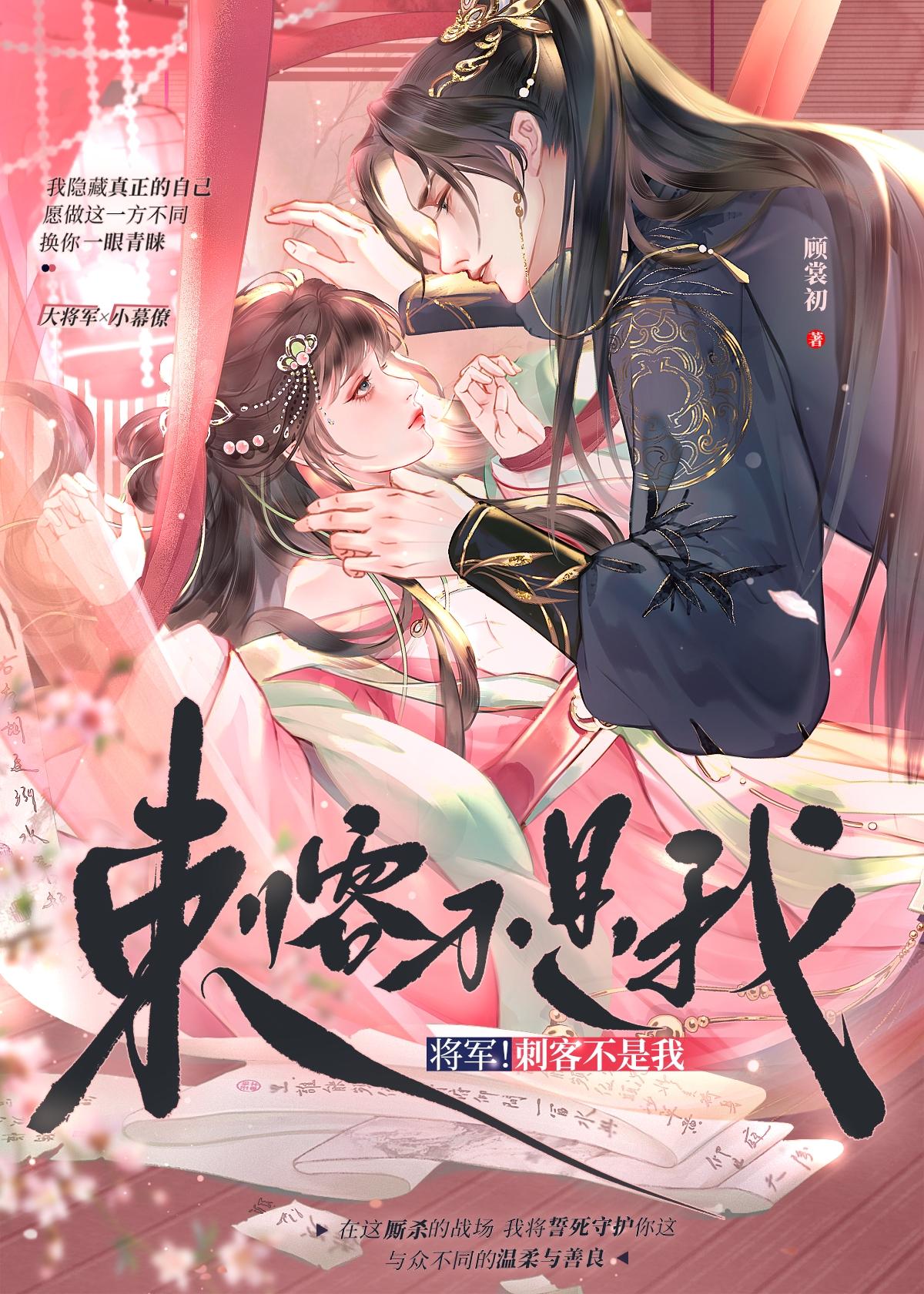 将军!刺客不是我
