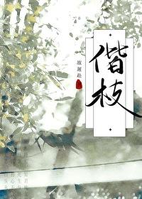 枝枝相宜,岁岁无忧