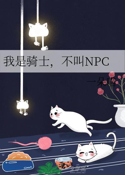 我是骑士,不叫NPC